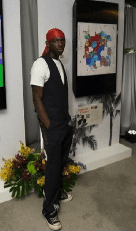 flatscreen rolling walls